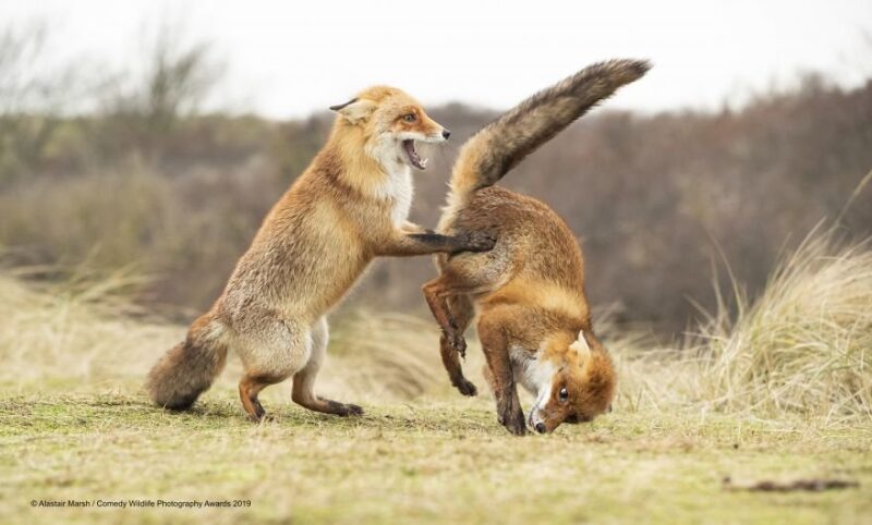 fighting